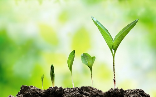 1646728011136649.png image.png