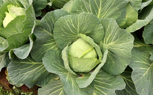 1646819333371825.png image.png