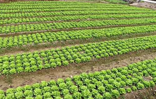 1646983300450583.png image.png