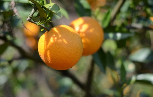 1647329998155829.png image.png