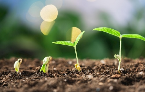 1647437961837959.png image.png