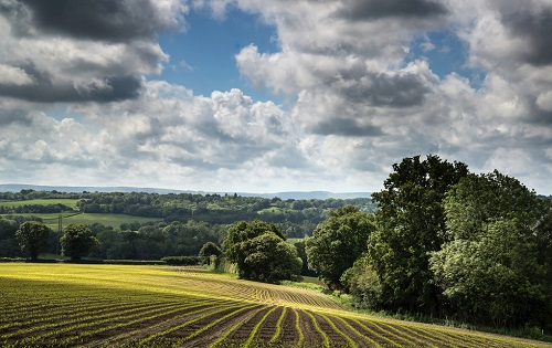 1647843214155912.png image.png