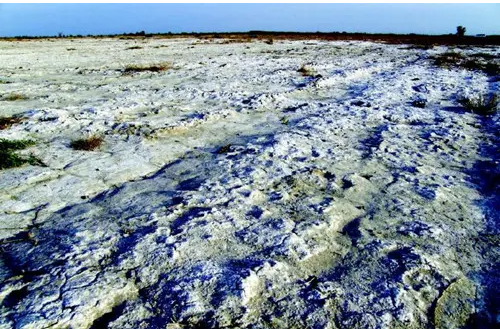 1648021428202493.png image.png