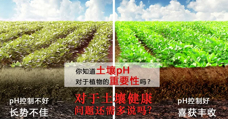 1648624833174244.png 1648624833174244.png