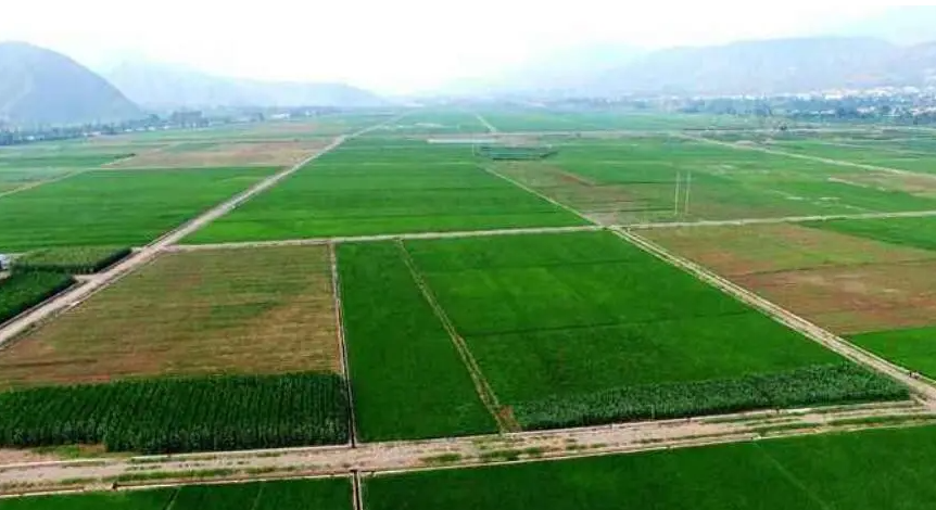 1648710818931848.png 1648710818931848.png