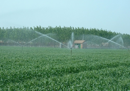 1648880084649647.png image.png