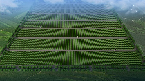 1649228546123300.png image.png