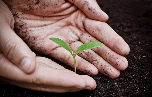 1650346774363101.png image.png