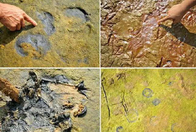 1650425875106425.png 1650425875106425.png