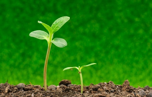 1651123702323508.png image.png