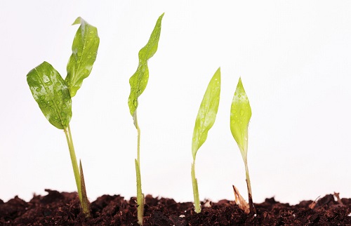 1651816266164281.jpg 6202399328b733c77b062c8d45f40248_2531170_095511390844_2.jpg