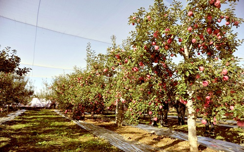 1652931986716371.png image.png