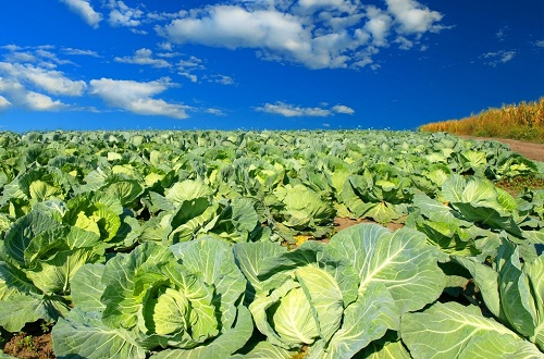 1653966640189177.png image.png