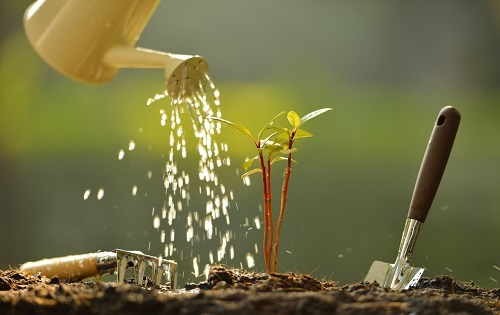 1654494134167949.png image.png