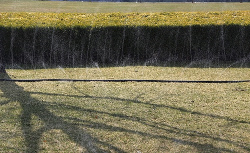 1655089877184037.png image.png