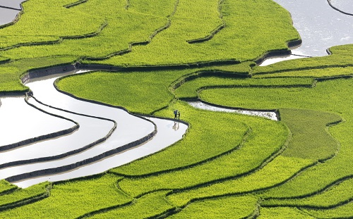 1655176629178049.png image.png