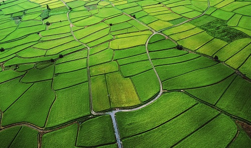 1655434150124393.png image.png