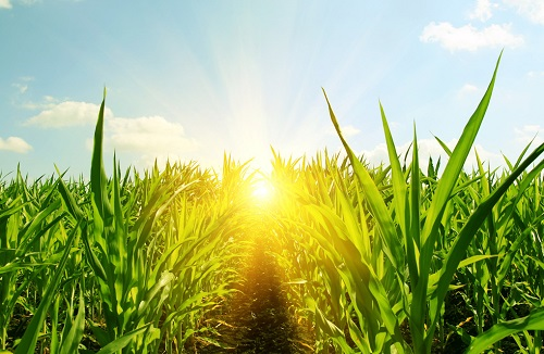 1655693986113161.png image.png