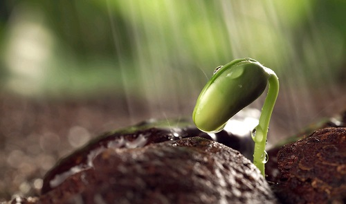 1656040485209789.png image.png