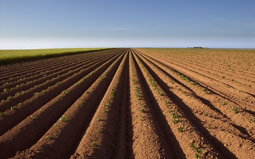 1657508956205213.png image.png