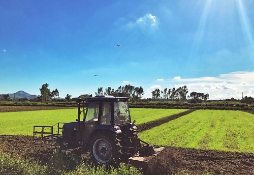 1658726233944033.png image.png