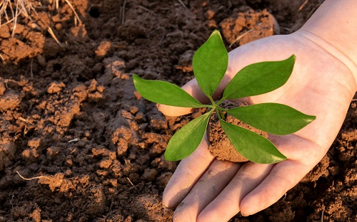 1658891093576966.png image.png