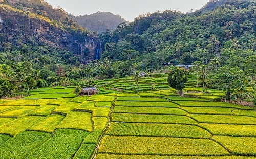 1662015945636998.png image.png