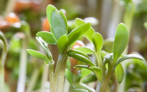 1663566200845079.png image.png