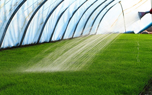 1665718471521144.png image.png