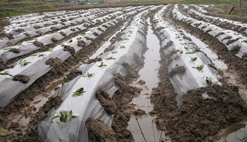 1667464318206551.png image.png