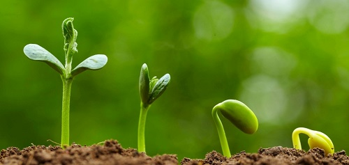 1667894097204761.png image.png