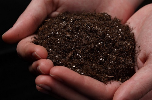 1668145936137486.png image.png