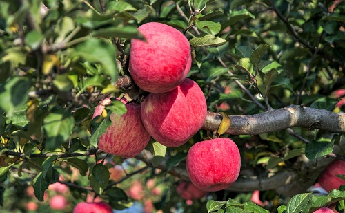 1669181030185233.png image.png