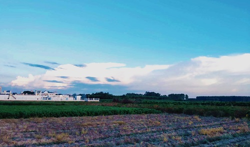 1669271475177121.png image.png