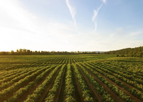 1669788215316802.png image.png