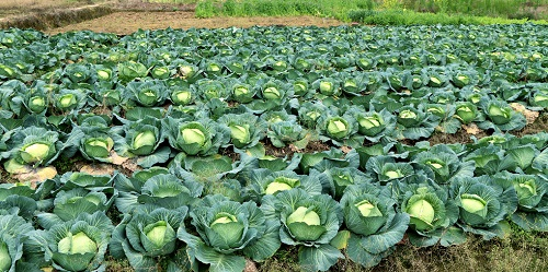 1670219873967839.png image.png