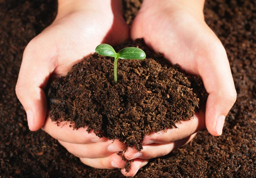 1670316352206260.png image.png