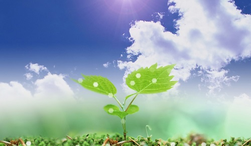 1670479805617844.png image.png