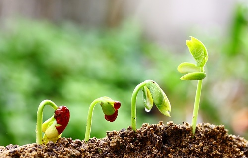 1670571754156543.png image.png