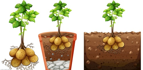 1671436188536138.png image.png