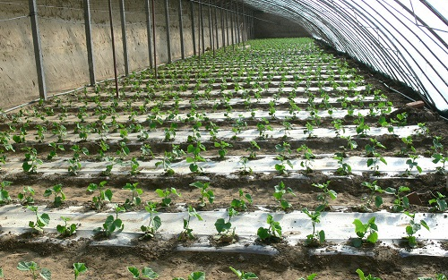 1671606340369442.png image.png