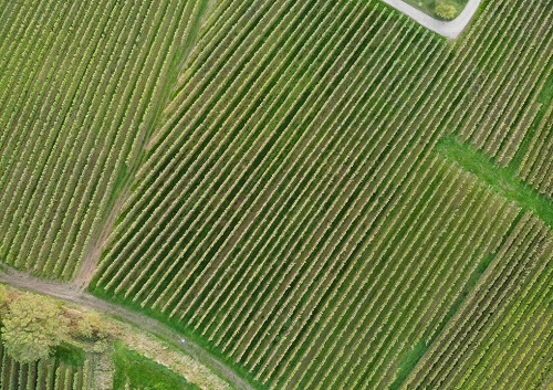 1673245439212520.png image.png