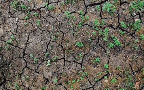 1673593976679573.png image.png