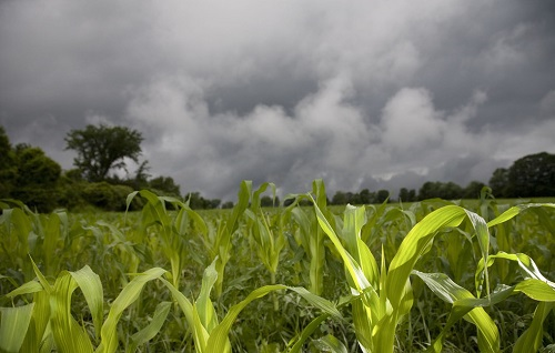 1674107328109416.png image.png