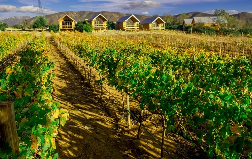 1674198717309935.png image.png