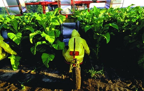 1675402960177203.png image.png