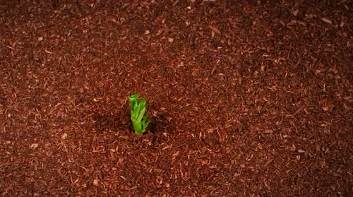 1676617443166583.png image.png