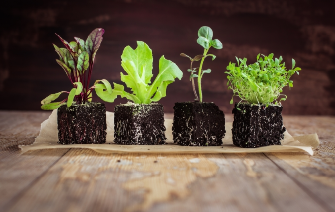 1679033841136164.png 1679033841136164.png