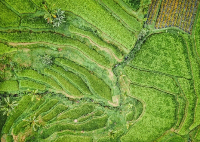 1680761321172469.png 土壤養(yǎng)分測定儀的注意事項(xiàng)