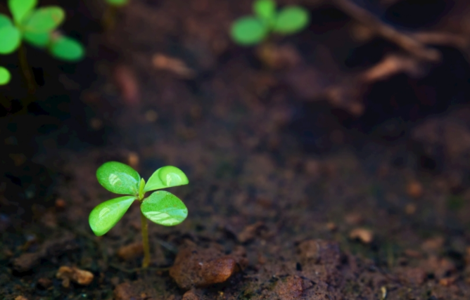 1680851066438314.png 土壤養(yǎng)分速測(cè)儀